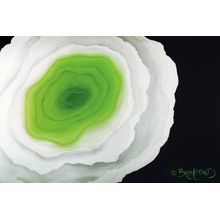 Flower Within - Green Wall Mural