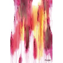 Fire And Ice WallMural
