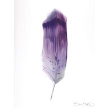 Feather 1 Wall Mural