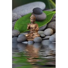 Buddha Zen Garden Wall Mural