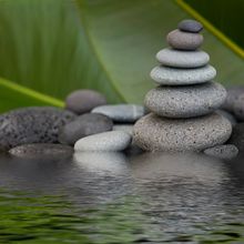 Zen Rock Pond Wall Mural