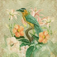 Tropical Bird Green Wall Mural