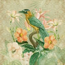 Tropical Bird Green Mural Wallpaper