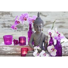 Zen with Orchids Wall Mural