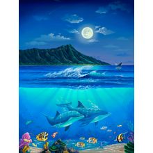 Diamond Head Romance Wall Mural