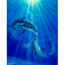 Dolphin Kiss Wall Mural