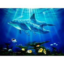 Dolphin Reef Wall Mural