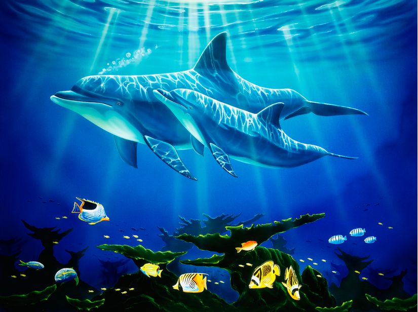 Dolphin-Reef-Wilkie-Wallpaper-Mural