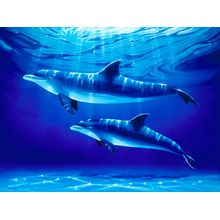 Ocean Spotlight Wall Mural