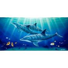 Sunlit Kauai Dolphins Wall Mural