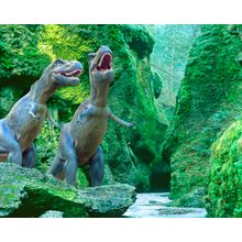 Tyrannosaurus Rex Wall Mural