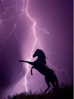 Stallion and Lightning Mural Wallpaper