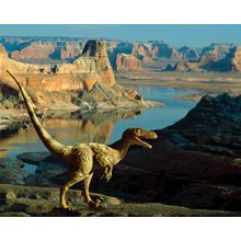 Velociraptor Canyon Wall Mural