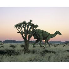 Iguanodon 2 Wall Mural