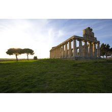 Greek Ruins, Paestum, Southern Italy  Wall Mural