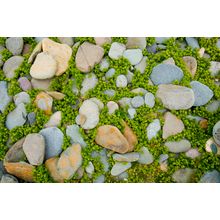 Rock Design, County Mayo, Western Ireland Wall Mural