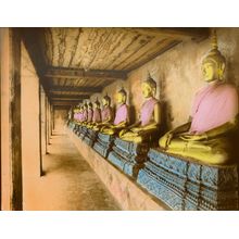 Row Of Buddhas Wall Mural