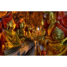 Thousands of Buddhas Wall Mural