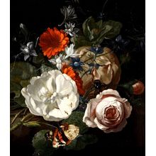 Flowers And Insects Wall Mural