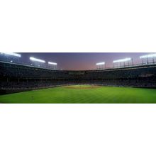 Watching The Game At Wrigley Field Wall Mural