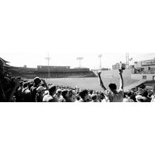 Fans Cheering At Fenway Park Wall Mural