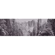 Snow Covered Yosemite Falls Wall Mural