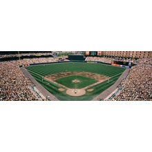Camden Yards Baseball Field Wall Mural