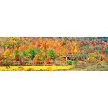 Cantilever Bridge In Autumn Trees Wall Murals
