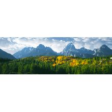 Hillside Of Aspen Beneath The Teton Range Wall Mural