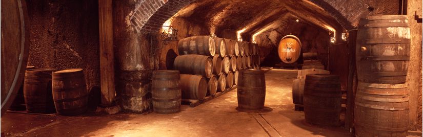 Buena-Vista-Winery-Wine-Barrels-Wall-Mural