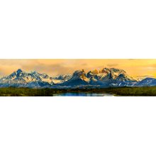 Guanaco In Majestic Mountain Landscape Wall Mural