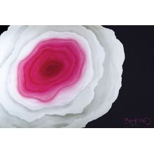 Flower Within - Pink Wall Mural