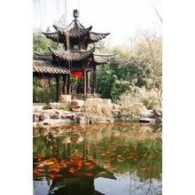 Garden In Jiangsu Suzhou Wall Mural