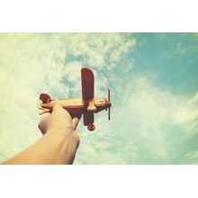 Toy Plane Wall Mural