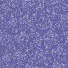 Hand Drawn Fig Tree Branches Wallpaper