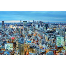 Tokyo Skyline Wall Mural
