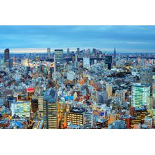 Tokyo Skyline Mural Wallpaper