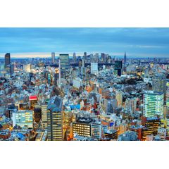 Tokyo Skyline Wall Mural