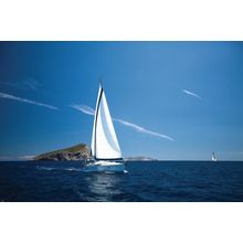 Racing Regatta Wall Mural