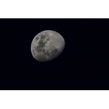 Lunar Vision Wall Mural