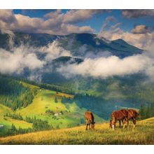 Horse Mountainside Wall Mural