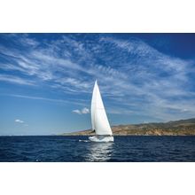 Sailing In The Wind Wall Mural