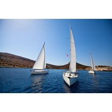 Sailing Regatta Wall Mural