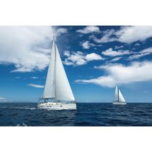 Regatta Race Wall Mural