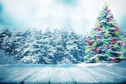 Outdoor-Christmas-Tree