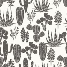 Succulents and Cacti Pattern Wallpaper