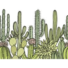 Wild Cactuses Pattern Wallpaper