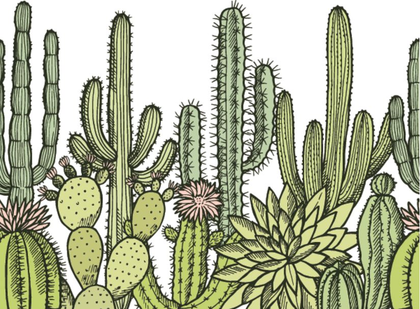 Wild-Cactuses-Pattern-Wallpaper