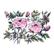 Decorative Watercolor Peony Flowers Wall Mural