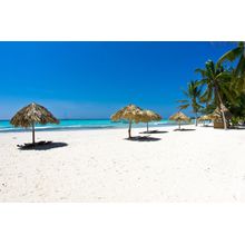 Palm Thatch Caribbean Beach Wall Mural